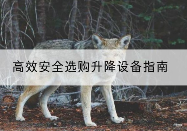 通河升降货梯厂家推荐-*安全选购升降设备指南