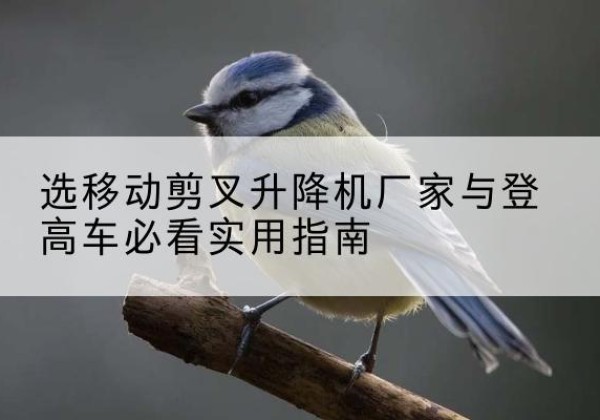 通河电动升降机厂家-选移动剪叉升降机厂家与登高车必看实用指南