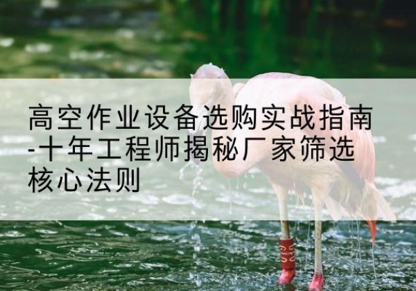 通河剪叉式升降机厂家-高空作业设备选购实战指南-十年工程师揭秘厂家筛选核心法则